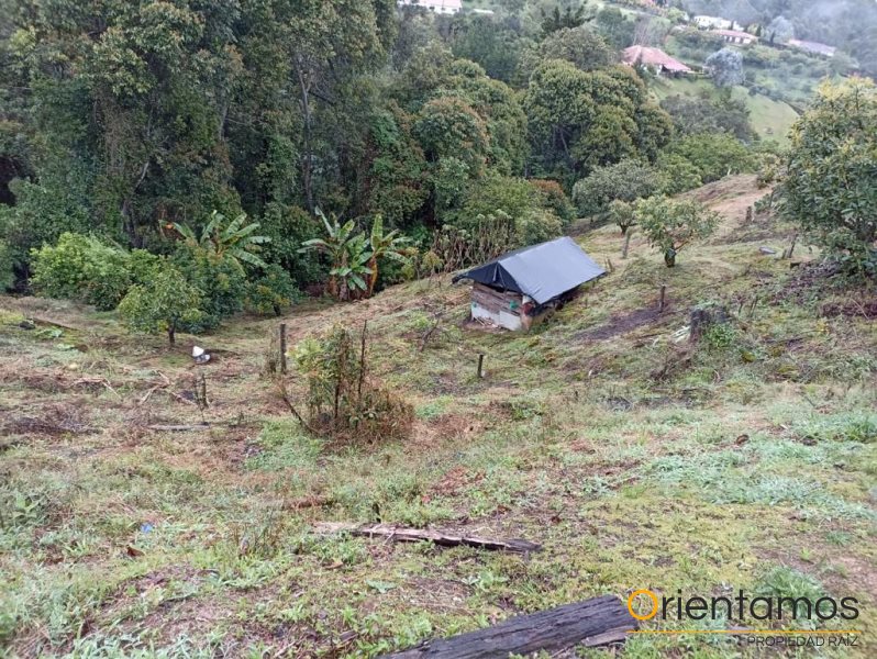 Casa para la venta en Rionegro - Llanogrande el codigo es 19236 foto numero 4