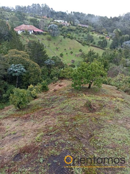 Casa para la venta en Rionegro - Llanogrande el codigo es 19236 foto numero 22