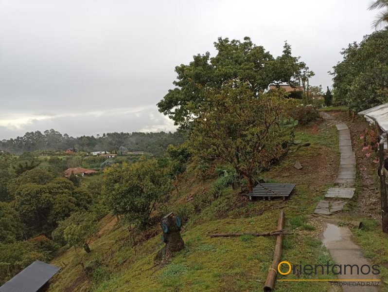 Casa para la venta en Rionegro - Llanogrande el codigo es 19236 foto numero 3