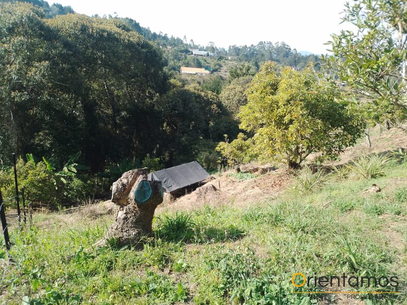 Casa para la venta en Rionegro - Llanogrande el codigo es 19236 foto numero 14