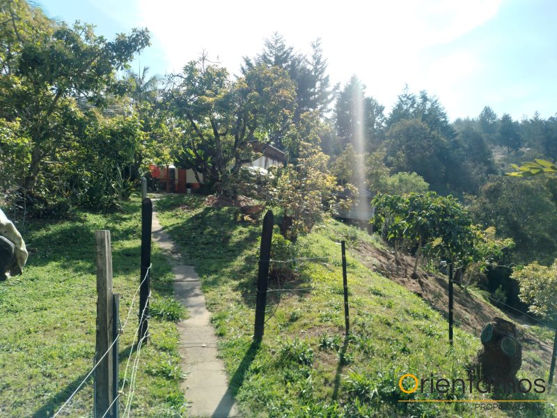 Casa para la venta en Rionegro - Llanogrande el codigo es 19236 foto numero 16