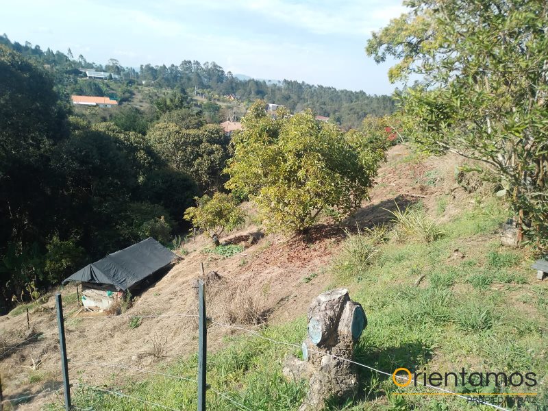 Casa para la venta en Rionegro - Llanogrande el codigo es 19236 foto numero 18